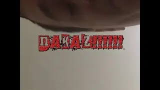 30.11.2022- NAKAZ!