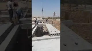 3 сентября 2024 г.