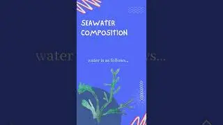 What's in seawater understanding the key components 