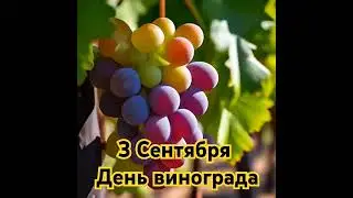 3 сентября - день винограда.