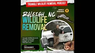 Wildlife Removal Raleigh NC