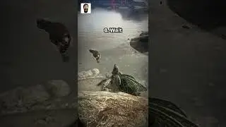 Google vs Bing on How To Tame a Therizinosaurus  | Ark Memes