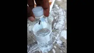 HOOD INSECTS! The Fly That Won't DIE! HBGM VERY Funny!