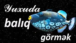 Yuxuda balıq görmək ☾✵ Qısa Yuxuyozma