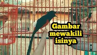Murai batu medan tonjolan gereja tarung