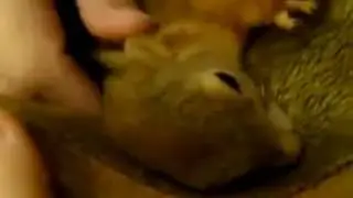 Диджей Белка!!!