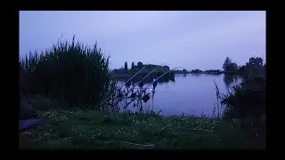 karpervissen 2018 jaar compilatie