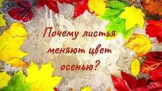 Почему листья меняют цвет осенью?