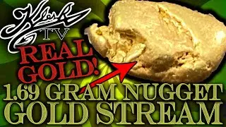 🔴 GOLD STREAM #233 - 1.69 GRAM GOLD NUGGET! FUN INCLUDED!