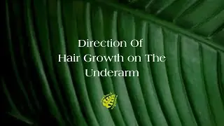 Direction Of Hair Growth On The Underarm
