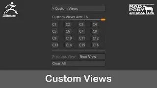 Custom Views