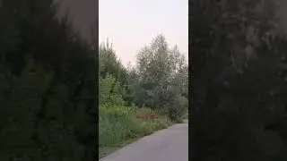 18 июля 2023 г.