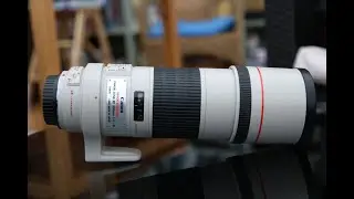 Canon EF 300mm f4 L IS USM Lens review and chat. (WARNING: VERY BORING!!!)
