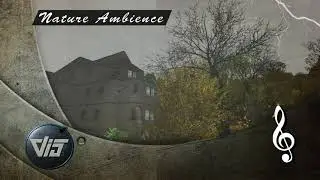 Nature Ambient Sound - Thunderstorm Rain - Unity Asset Store