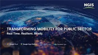 Transforming Mobility for the Public Sector