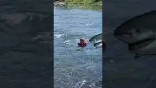 Shark ATTACKs at river…. #shortvideo #shark#shorts #viralvideo #video #short