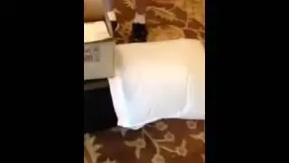 The Smell Shoe Challenge