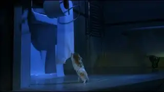 Cunning Hamster is a Toilet Paper Thief!