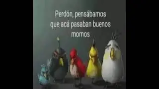 Perdón pensábamos que acá pasaban buenos momos