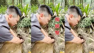 It hurts when my hand is pinched in the crab. Is it better to fry it, stir fry it or steam it?