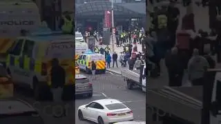Free Palestine Protesters getting arrested