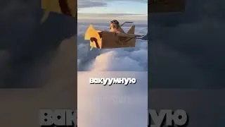 Lying cat