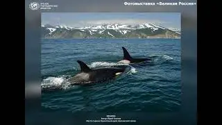 Великая Россия