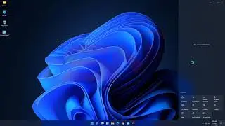 Windows 11