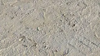 Old white wall 01 (material)