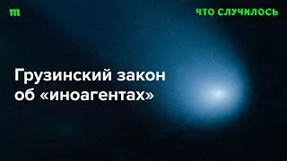 Закон об «иноагентах» в Грузии — это шаг к путинизации страны?