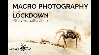 Macro Photography in the Lockdown | Tamron SP 90mm f/2.8 Macro 1:1- Mudart Photography Workshops