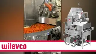 Applying Hot Sauce On Wings - Spinning Disc Applicator (SDA) - Wilevco