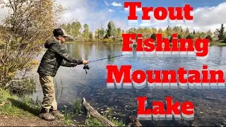 Fishing EPIC Lake | Fall Trout #fallfishing #shorts