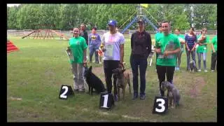 Етап Кубка України з аджиліті 21.05.2016 (Черкаси)