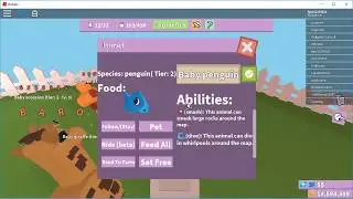 How To Get The Squid Egg! (feed your pets!)
