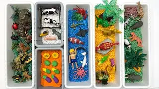 6 Diorama For Animals | Farm Safari Ocean World And Dinosaur Small world