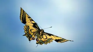 Нужна помощь!!! где брать ресурсы и силы для решения текущей проблемы? Таро расклад
