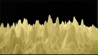 Sam Harris 'The Moral Landscape  How Science Can Determine Human Values'