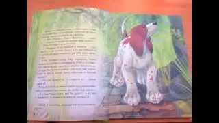 М. Пришвин. Первая стойка