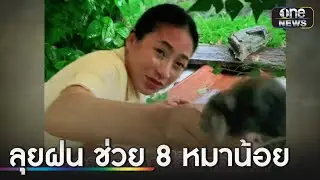 ทีมศูนย์วิจัยข้าวลุยฝน ช่วย 8 หมาน้อย | ข่าวเช้าช่องวัน | สำนักข่าววันนิวส์