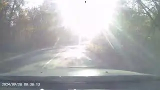 Рамонское тоге