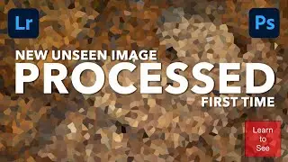 Image processing for the first time | Nature Photography