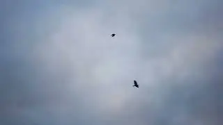 Эдуард Асадов