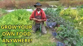 Homesteader Organic Gardening – How To Grow The Best In The Worst Soil And Climate