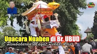 Pembakaran Mayat di Br. Ubud || Ngaben Pekak Aris di Br. Ubud (DNA Family Bali)