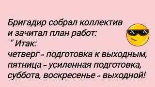 Когда закончится это свинство ?