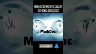 The Incredible Dance of CELL DIVISION