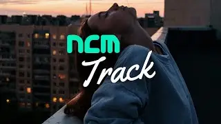 Chill Night | Amine Maxwell & MICHAL [No Copyright Music]