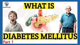 Diabetes Mellitus: What is it | Types of Diabetes | Diabetes Type 1, Diabetes Type 2 | Part 1