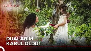 Annem Beni Rüyalarımda Büyüttü🤍 | Çalıkuşu